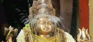 Sri Lakshmi Ammavaru Abhishekam